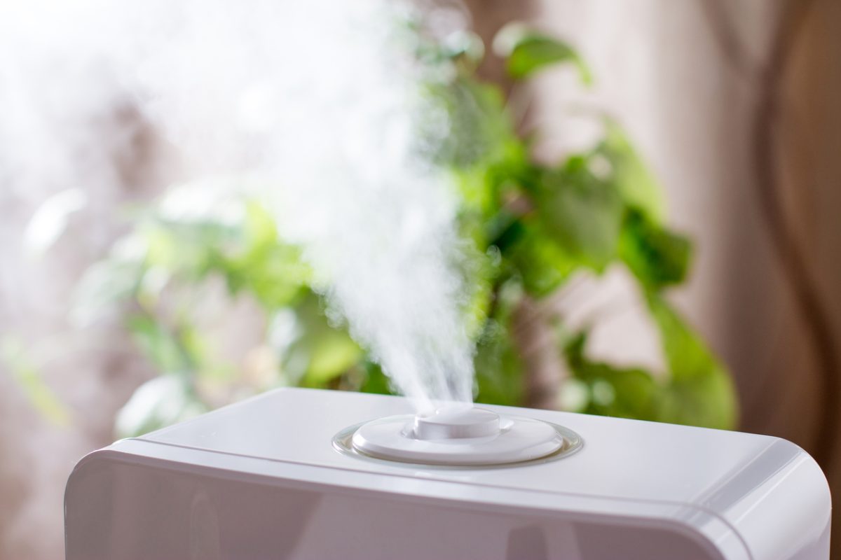 Beat the dry winter air with a humidifier