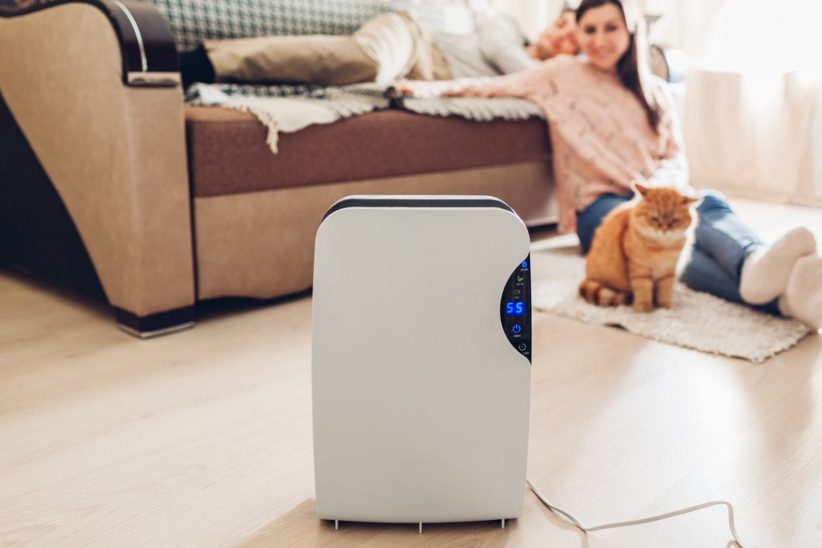 Tips for Choosing the Ideal Portable Room Air Cleaner